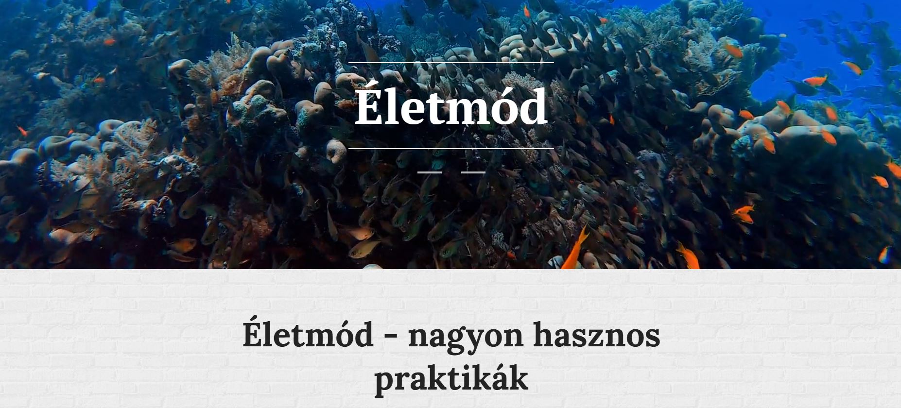 Kattintson a képre